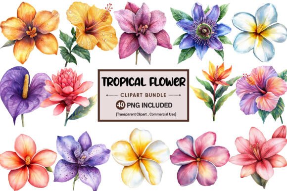 Download Tropical Watercolor Flower Bundle - Watercolor flower bundle Collection