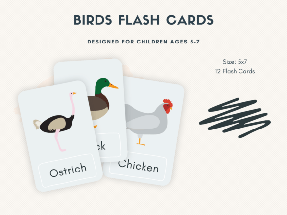 Download Bird-Themed Flashcards for Kids - Card Collection