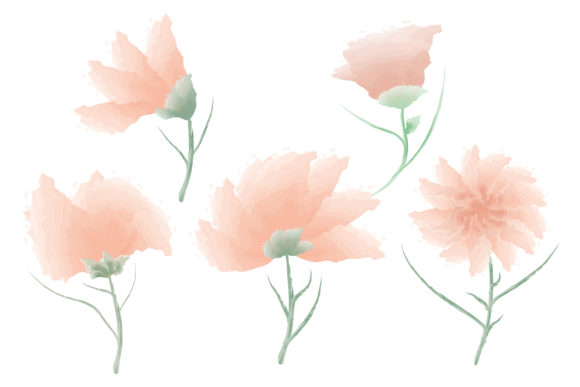 Download Watercolor Flower Bundle - Watercolor flower bundle Collection