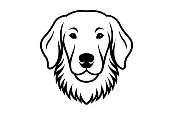 Download An Exhibition Golden Retriever Looks - Exhibition Collection